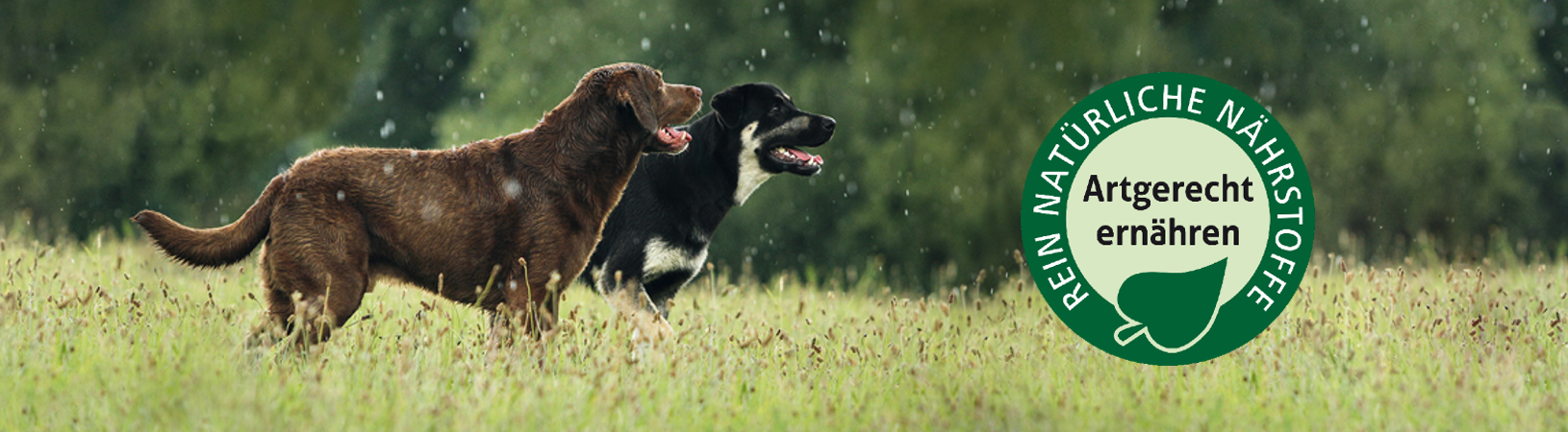 Zwei Hunde und das Artgerecht ernähren Logo